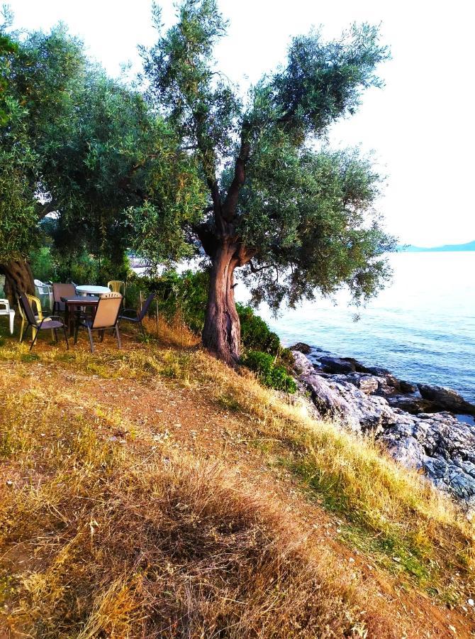 Villa Leonidas Greecefiloxenia Lefokastro Esterno foto