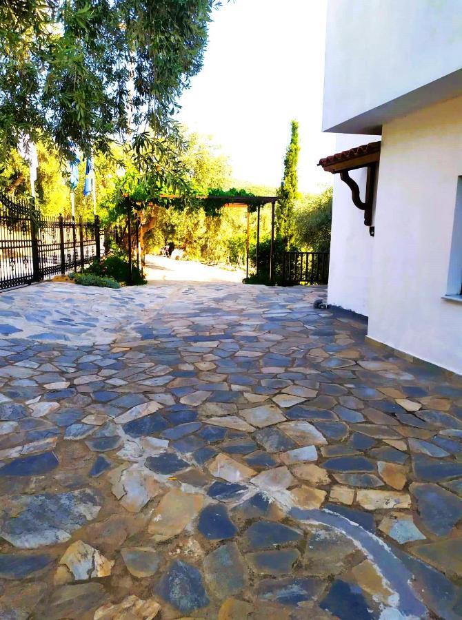 Villa Leonidas Greecefiloxenia Lefokastro Esterno foto