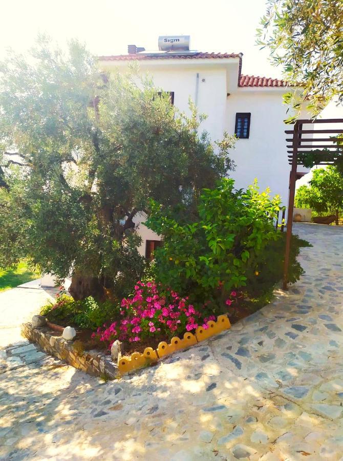 Villa Leonidas Greecefiloxenia Lefokastro Esterno foto
