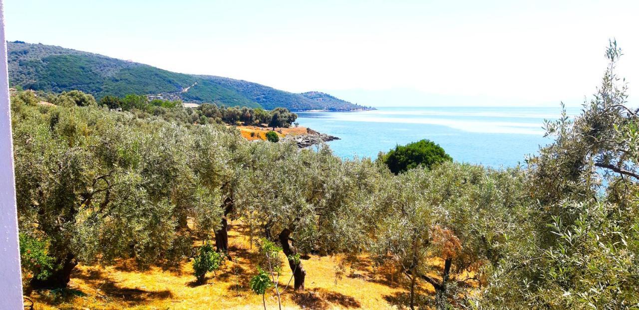 Villa Leonidas Greecefiloxenia Lefokastro Esterno foto
