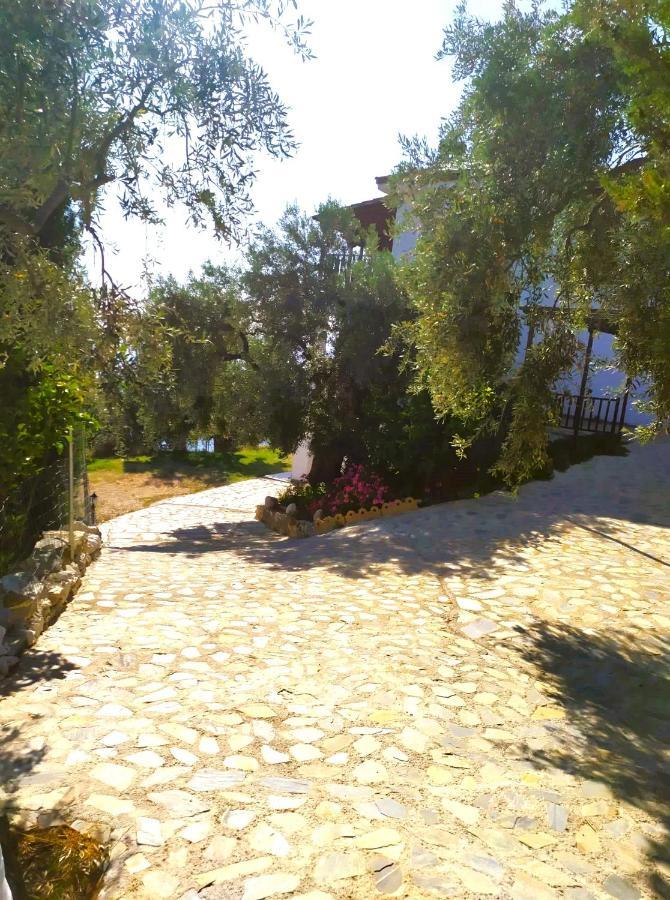 Villa Leonidas Greecefiloxenia Lefokastro Esterno foto
