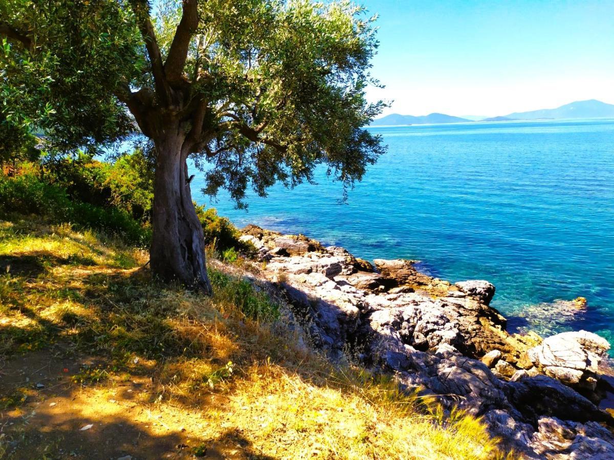 Villa Leonidas Greecefiloxenia Lefokastro Esterno foto