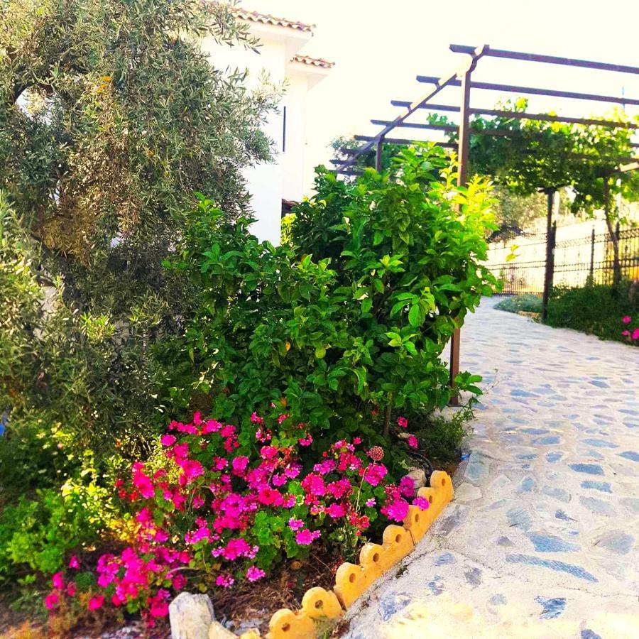 Villa Leonidas Greecefiloxenia Lefokastro Esterno foto