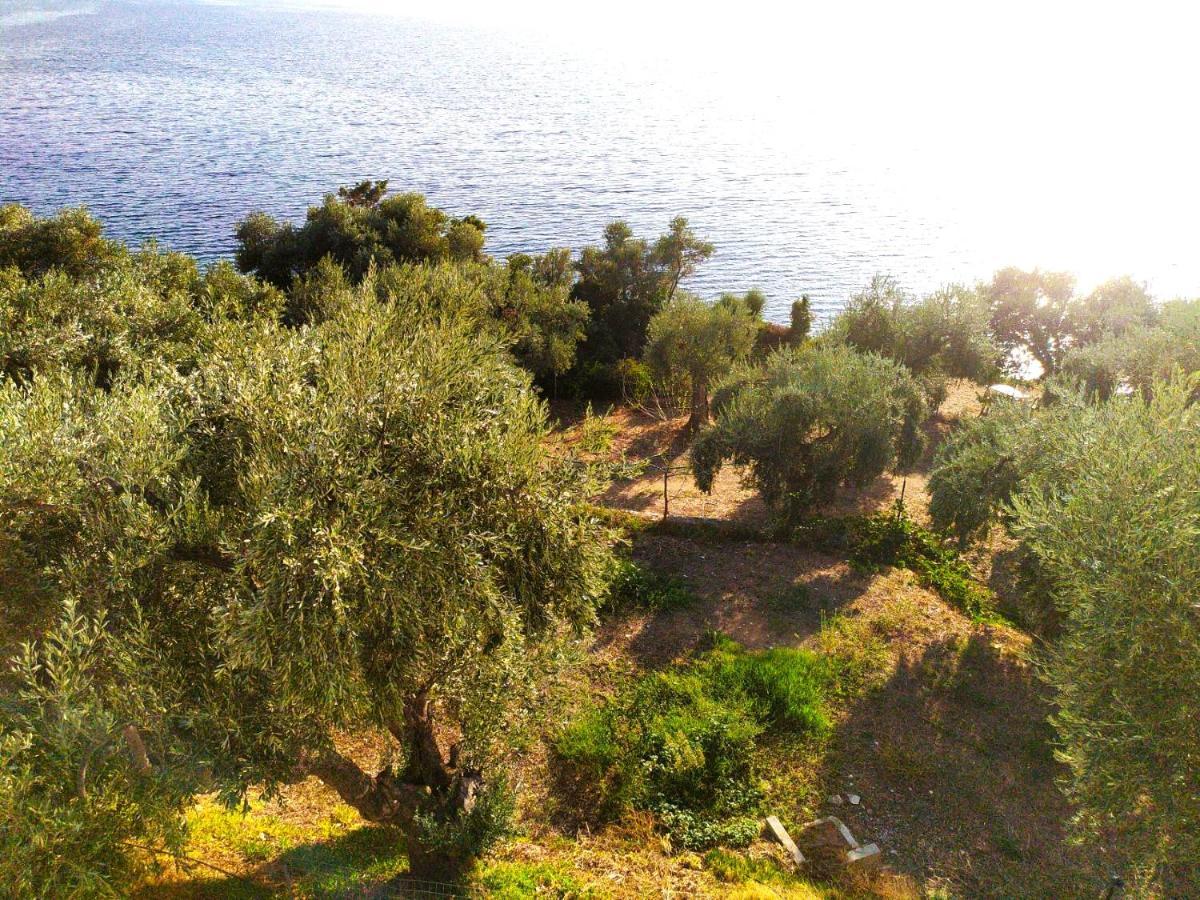 Villa Leonidas Greecefiloxenia Lefokastro Esterno foto