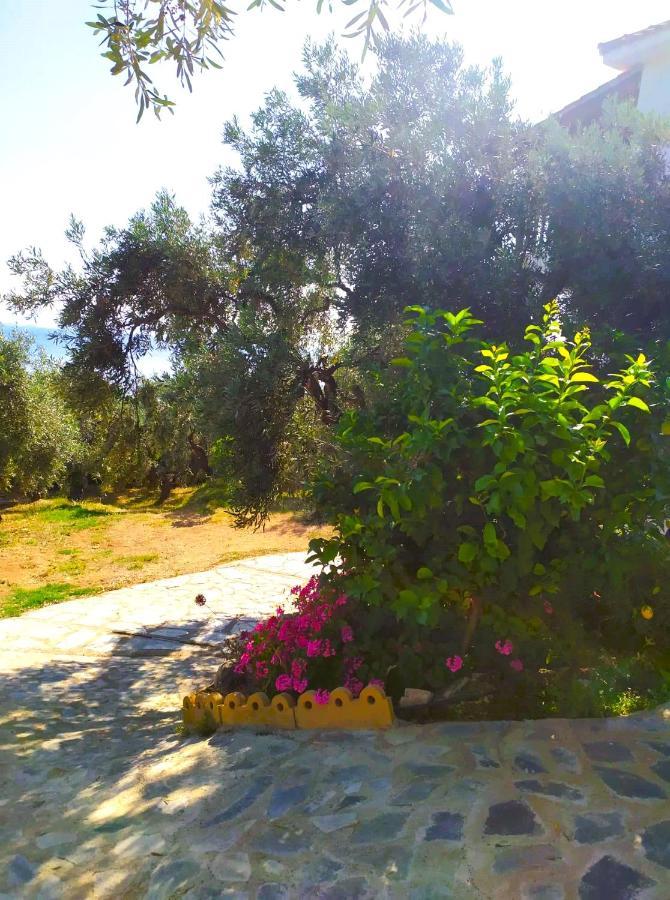 Villa Leonidas Greecefiloxenia Lefokastro Esterno foto